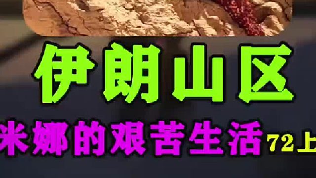 米娜给小屋做窗帘家里的地没有长庄家