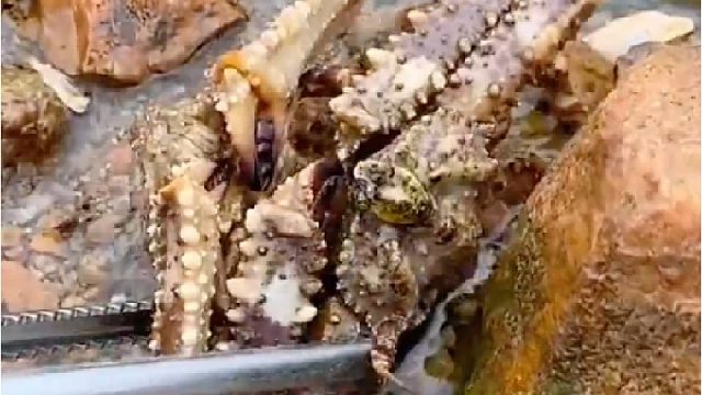 带你去体验渔民的生活