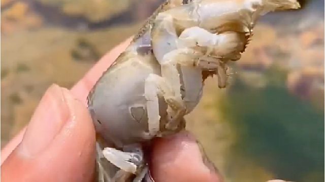 赶海赶海赶海啦