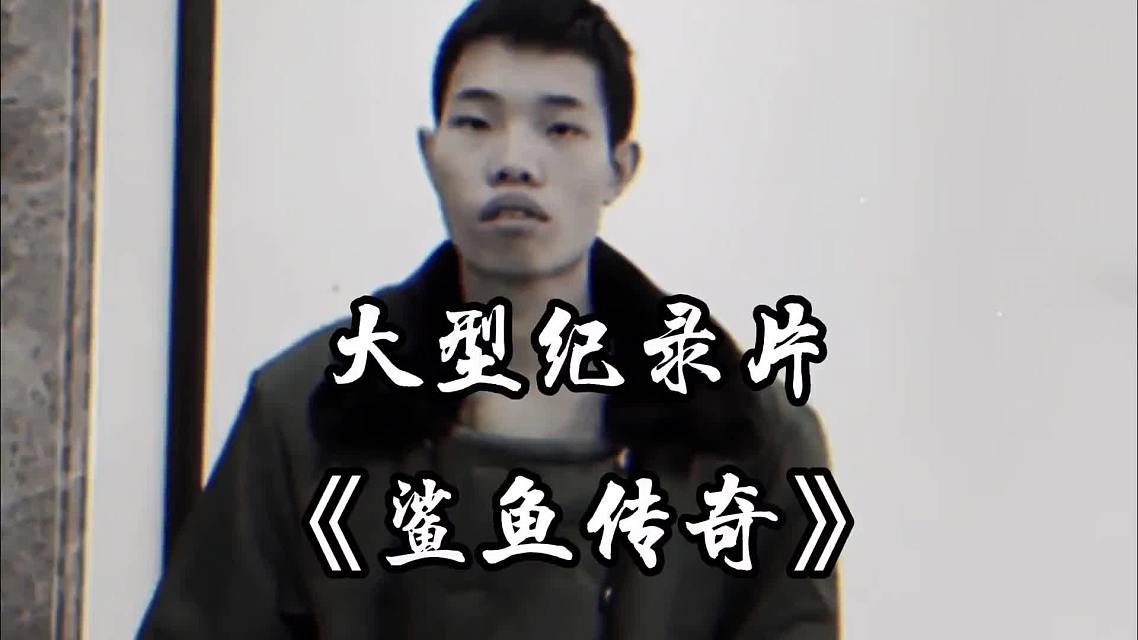 大型纪录片《鲨鱼传奇》震撼播出