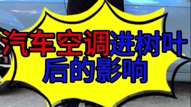 汽车空调进树叶的影响？ 汽车开空调有振动的原因？