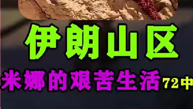 米娜把鸡舍屋顶用水泥做了硬化