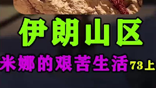 建房大哥 又来帮助 米娜 建造羊圈