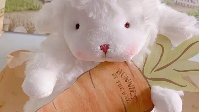 【邓小懵】总要尝遍所有的路，在对生活充满期待。