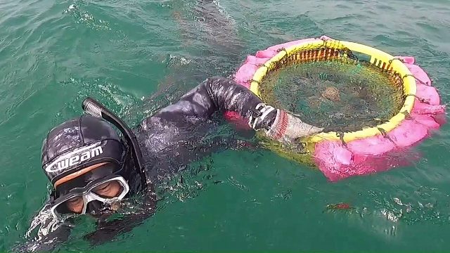 岛上来了很多网友，阿锋潜水打鱼捞海鲜招待，随随便便又是一大筐