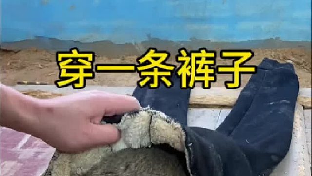 夫妻俩要穿同一条裤子。