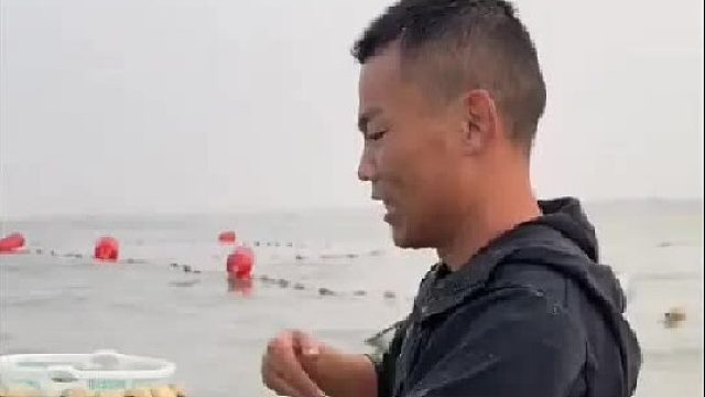 赶海赶海赶海啦
