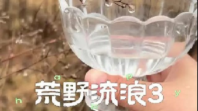 荒野流浪的第3天 收集了珍贵的雪