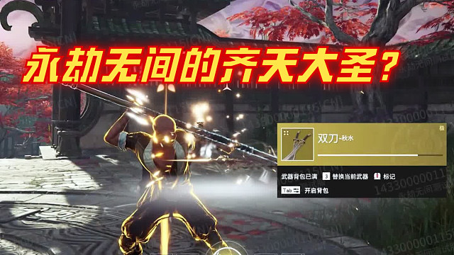 我就是齐天大圣！