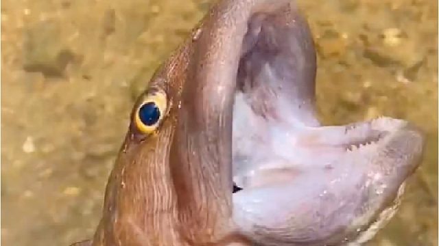 带你去体验渔民的生活