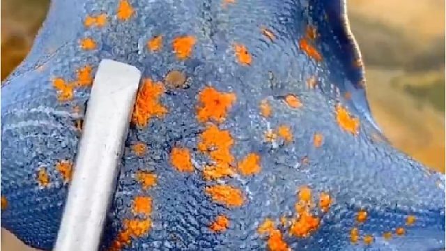 赶海赶海赶海啦