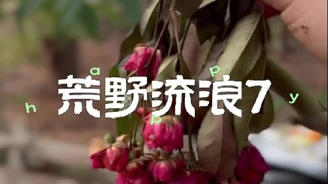 荒野流浪第7天 还是家里睡着舒服