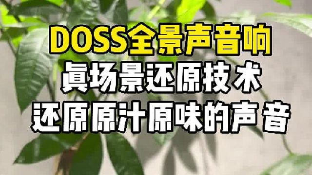 老婆三位数买回来的全景声音箱音质绝了