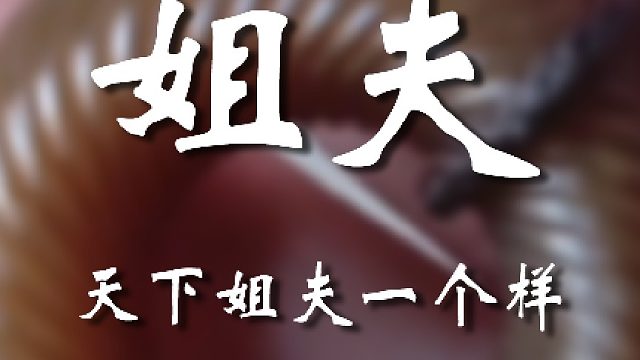 你小子给我老实点嗷（bushi）
