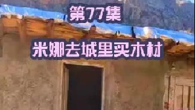 米娜带着孩子们去城里买木材