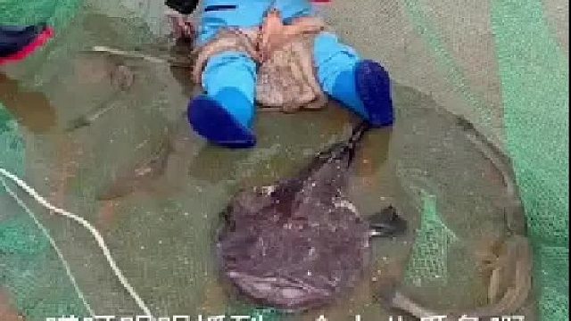 赶海赶海赶海啦