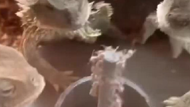 一边努力往上爬，对另一边来说，就是自助旋转餐厅……