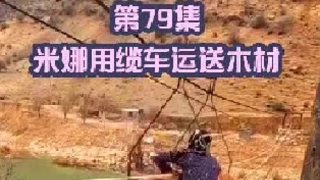 米娜用缆车运送木材