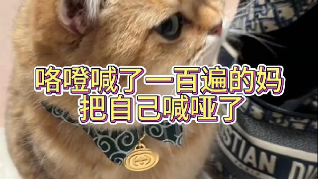 咯噔喊了一百遍的妈 把自己喊哑了