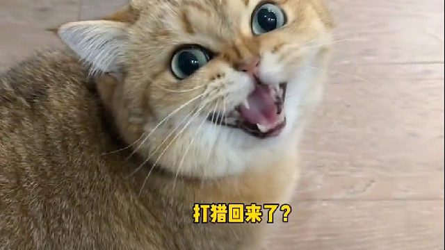 咯噔该不会知道小姐姐是考验他来的吧