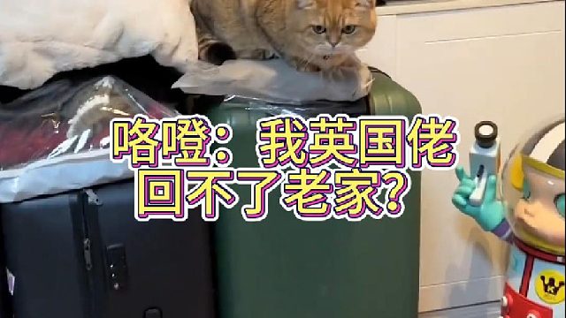 咯噔：我英国佬回不了老家？