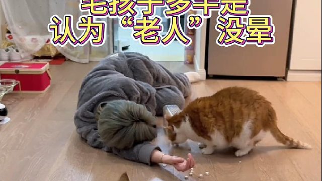 毛孩子多半是认为“老人”没晕