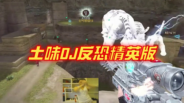 土味DJ反恐精英版