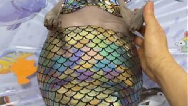 妮馆长你这又是何苦呢？