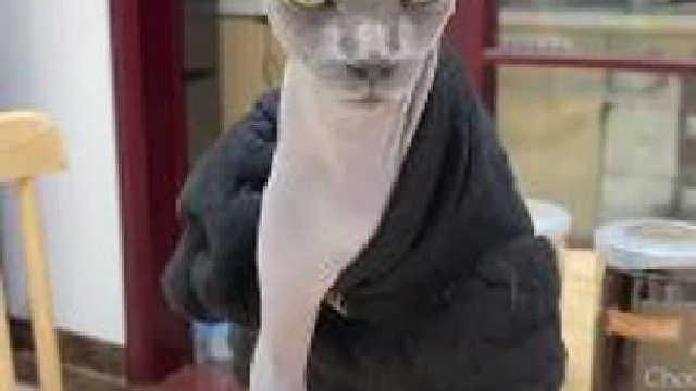 一个打十个？报班学挨揍，却获得教练之星