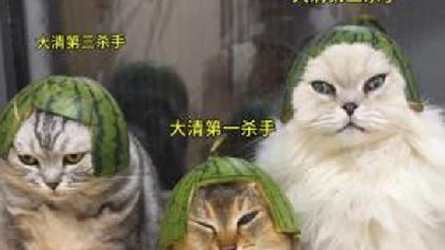 你们要的大清第一傻手系列来啦！