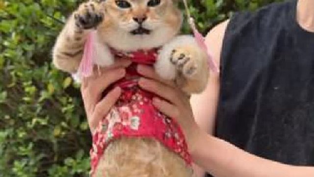 花了块专家号给眉姐测年纪啦