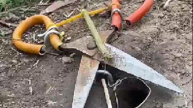 这个蛇也是老演员了