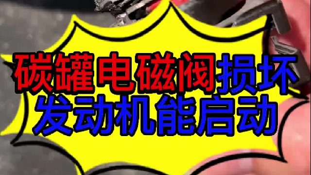 汽车碳罐电磁阀损坏不会导致发动机无法启动