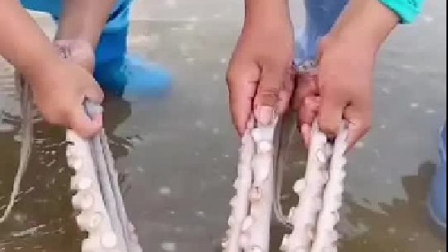 赶海赶海赶海啦