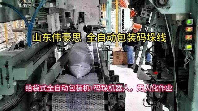 除尘灰自动包装码垛机 全自动包装码垛系统供应 山东伟豪思