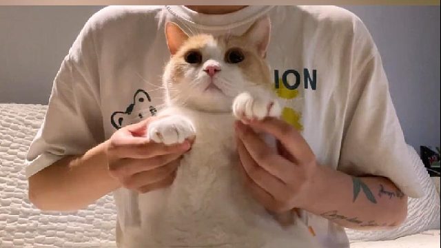 到时间交作业啦！