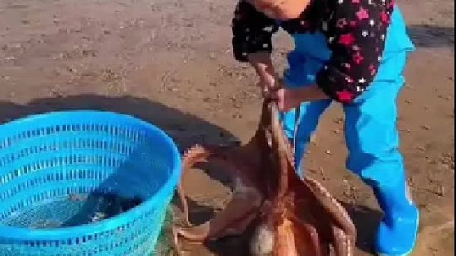 赶海赶海赶海啦