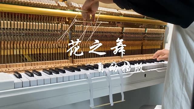 疑似电闸工转行弹钢琴