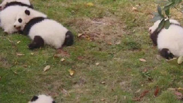 【邓小懵】岁月迢迢，我们总要有一往无前的力量。