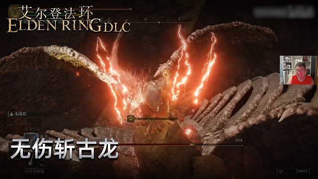 信仰攻略组《艾尔登法环dlc》实况第十二集：无伤斩古龙