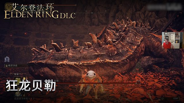 信仰攻略组《艾尔登法环dlc》实况第十三集：狂龙贝勒