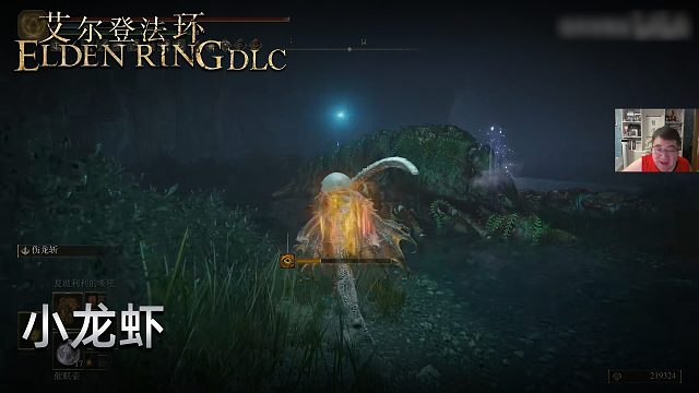 信仰攻略组《艾尔登法环dlc》实况第十四集：小龙虾