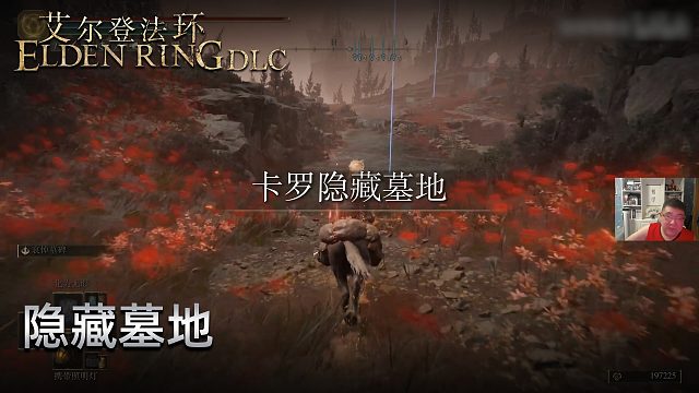 信仰攻略组《艾尔登法环dlc》实况第十五集：隐藏墓地