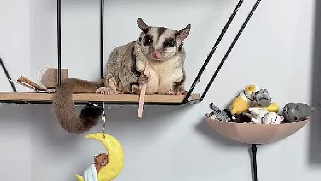 让我看看是哪个小朋友在tou吃