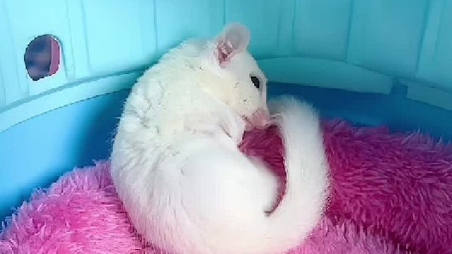 这是真爱干净吖，怪不得那么白