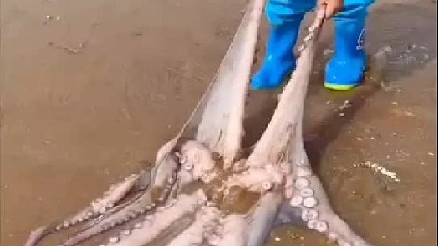 带你去体验渔民的生活