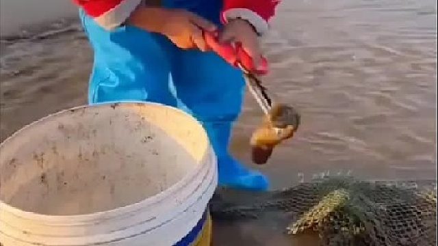 赶海赶海赶海啦