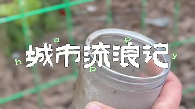 在城市给冬天筹备生日物资