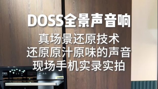 手机实录DOSS魔砖MAX声音视听效果