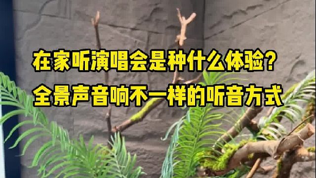 音质与性价比的完美联姻打造家庭音乐殿堂